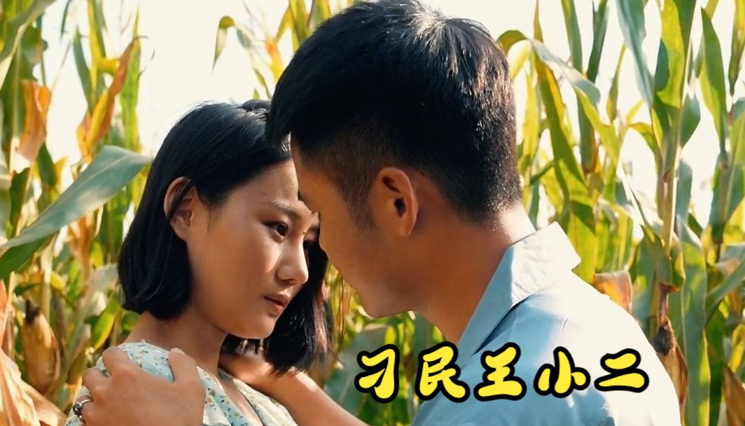 刁民王小二第26集