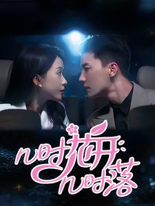 几时花开几时落第47集