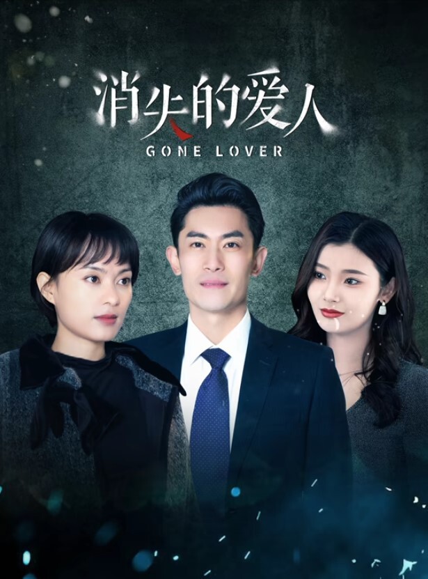 消失的爱人 2025(全集)