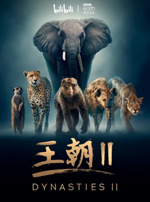 王朝 第二季(全集)