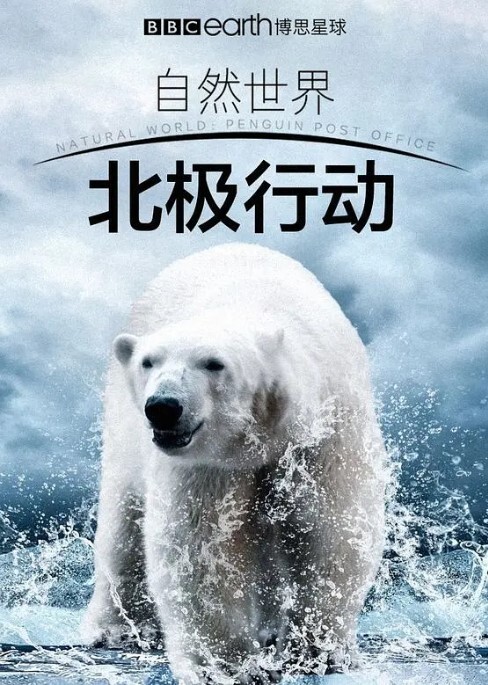 北极行动(全集)