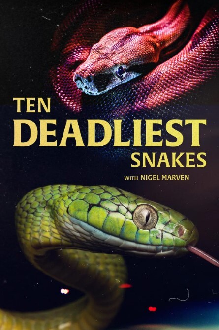 十大毒蛇 第一季(全集)