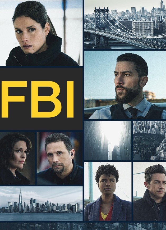 联邦调查局 第六季(全集)