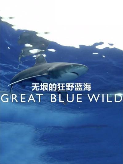 无垠的狂野蓝海 第三季(全集)